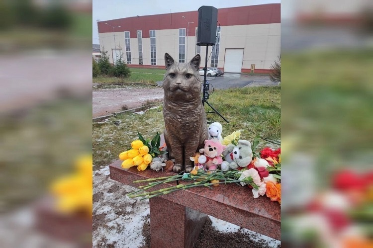 На фото из открытых источников памятник коту Кузе в Петербурге, установленный в память о всех замученных живодерами животных