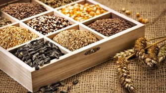 Правильное хранение семян